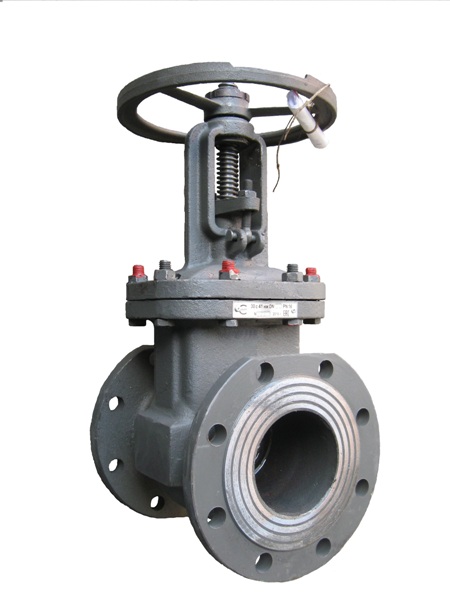 Задвижка 30с41нж Ду50 Ру16 класс А ТГМ