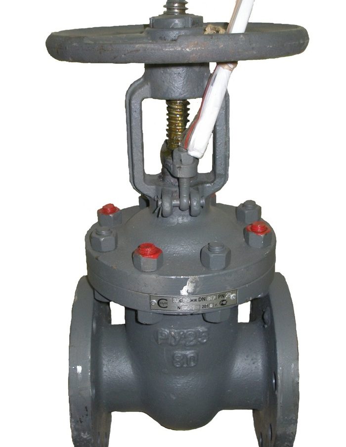 Задвижка 30с64нж Ду50 Ру25