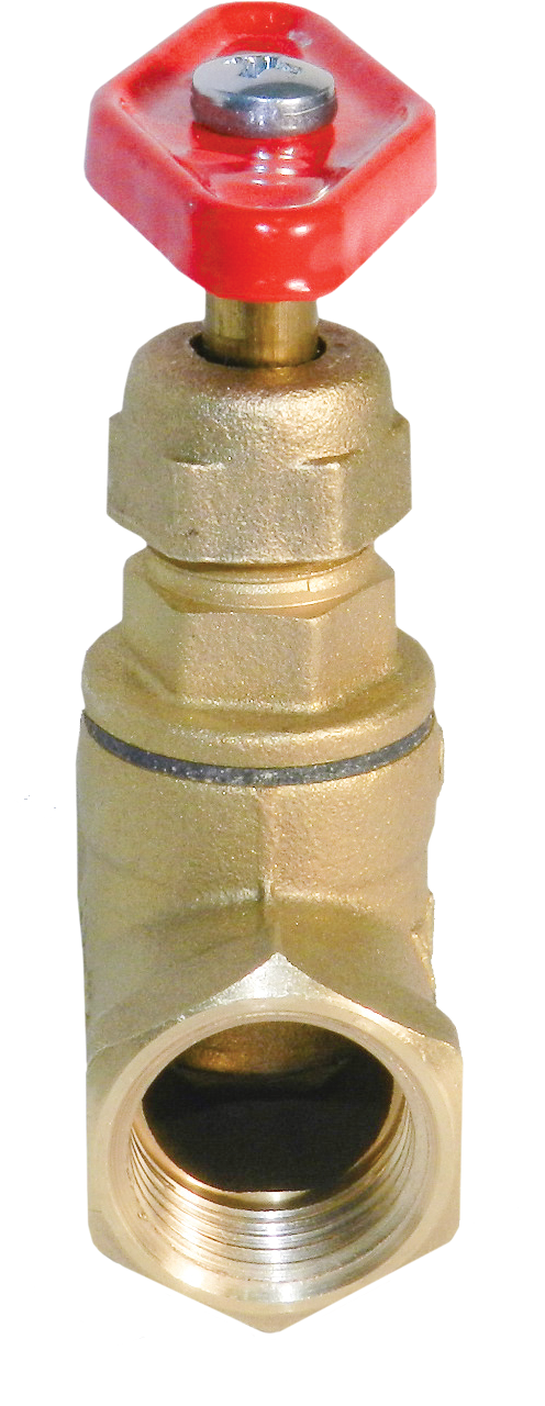 Клапан 15Б1п А70 (пар,вода) DN15 PN25 вр/вр БАЗ